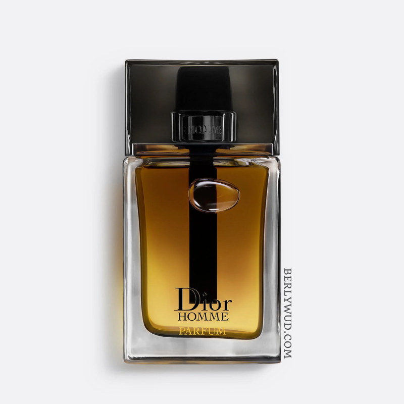 Dior Homme PARFUM (100ml) For Men By Christian Dior Berlywud