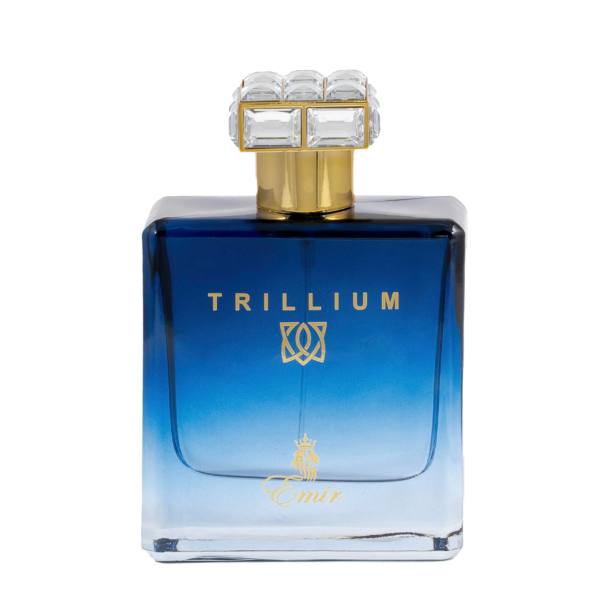 Emir Trillium Paris Corner EDP (100ml)