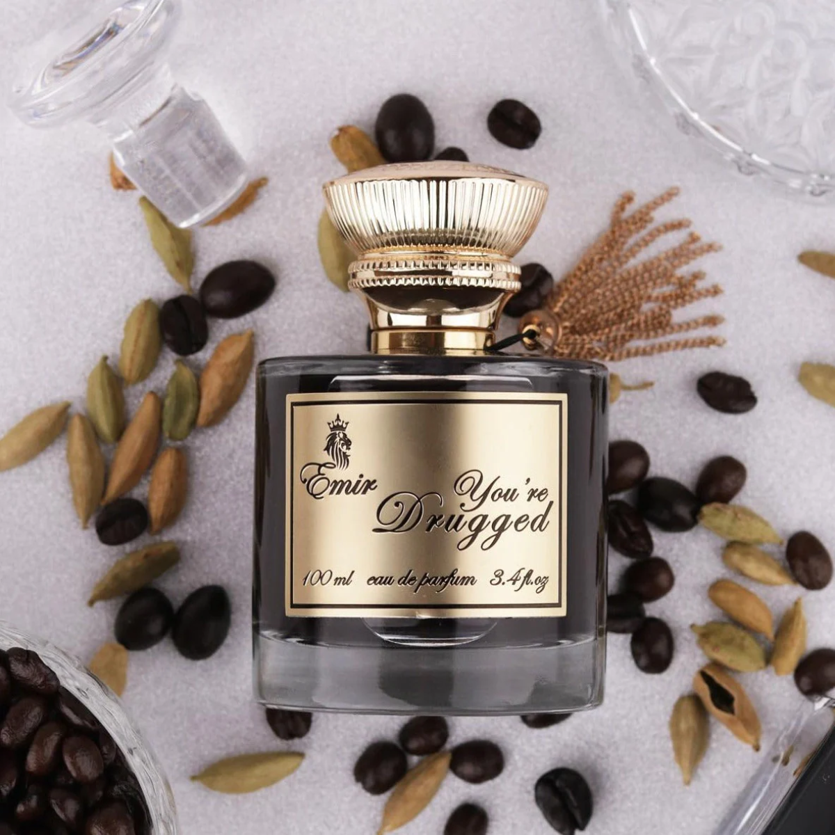 Emir You're Drugged Paris Corner EDP (100ml)