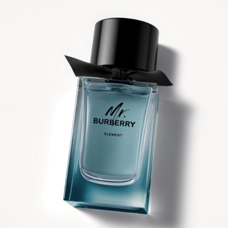 Mr.Burberry Element (EDT)